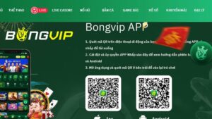 bongvip